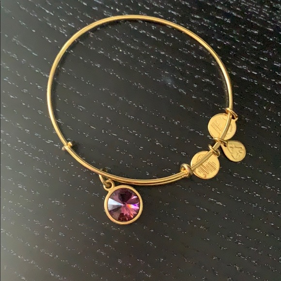 Alex and Ani Jewelry - Amethyst Alex & Ani Bracelet
